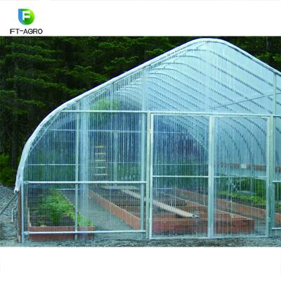 China Stable Structure Easily Assembled Single Span Tunnel Greenhouse for sale