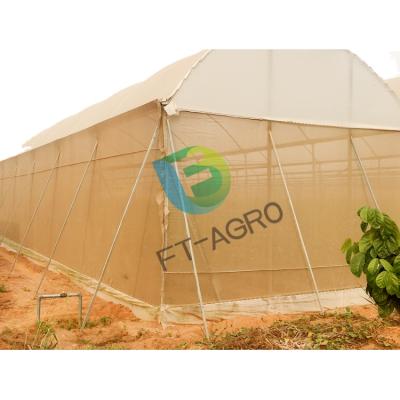 China Stable Structure Easily Assembled Cheap Wholesale Tropical Greenhouse for sale