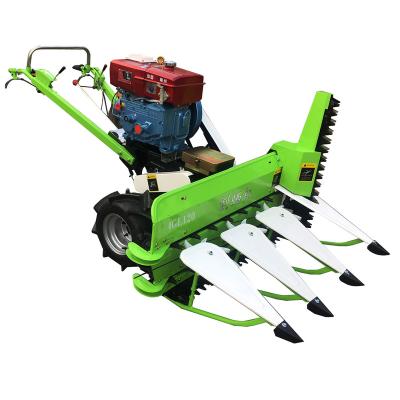 China 4G120D Rice Cutting Machine Mini Small Hand Held Paddy Wheat Cutter Mini Rice Harvester For Sale for sale