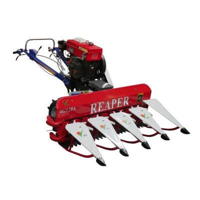 China Walking type harvester good feedback hot sale grain harvester/wheat harvester/mini rice paddy cutting machine for sale