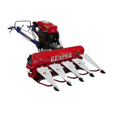 China Walking type harvester paddy harvester machine for rice and wheat with diesel engine or gasoline engine for sale