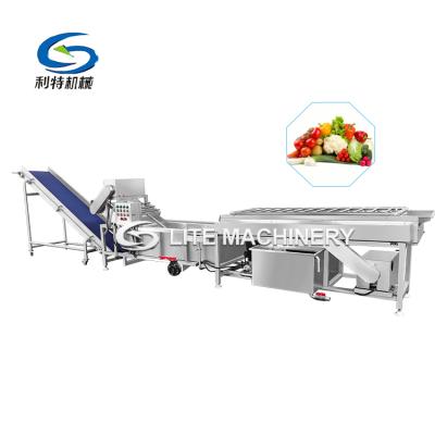 China Factory sus304 industrial food dryer and fruit processing leafy vegetable machine manufacture for sale