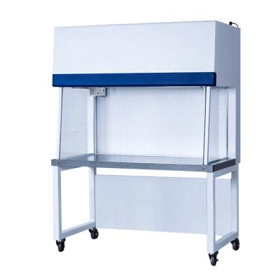 China Hotels Horizontal Portable Laminar Flow Clean Bench For Sale for sale