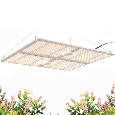 China Start From Seed Led Border Quantum Plant Grow Light Plant Light High Power Plant Light for sale