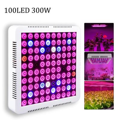 China Seed Seed Growing Indoor Greenhouse Plants Seed Flower Led Light Indoor Grow Lights for sale