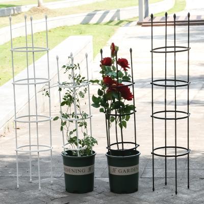 China 120cm Waterproof Outdoor Garden Decoration Garden Tomato Cage Plant Support for sale