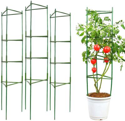 China Easily Assembled Multifunctional Garden Plant Support Stakes Tomato Trellis Cages For Vine Vegetables Fruits Flowers Products for sale