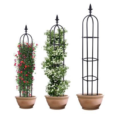 China Black or White Stainless Metal Rose Garden Hot Selling Good Quality Stand for sale