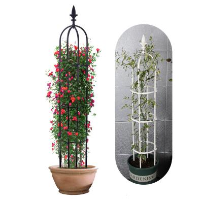 China Stainless Metal 1.2m Rose Stand China Factory High Quality Manufacture Garden for sale