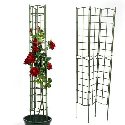 China Good Quality Customized Sustainable Outdoor Plant Support Outdoor Plant Climbing Support for sale