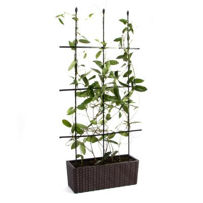 China Easily Assembled Plant Stand Growing Cage With Adjustable Rings For Flowers Fruit Garden Plant for sale