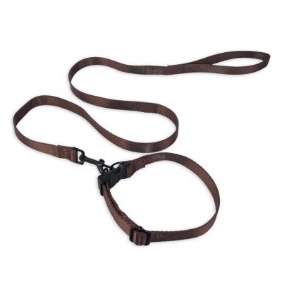 China Wholesale New Style Custom Adjustable Webbing Nylon Dog Collar With Leash Sets for sale