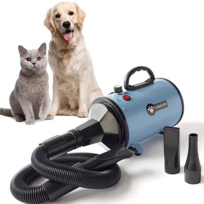 China High Power Stocked Pet Grooming Professional Dog Hair Air Dryer Hair Dryer Machine for sale