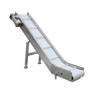 China Food Heat Resistant Conveyor Slope Modular Plastic Belt Conveyor For Fruit Conveyor Chain Belt for sale