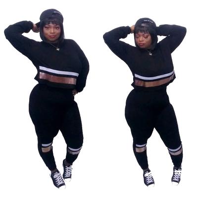 China Viable Hot Sale Plus Size Two Piece Tracksuit Women's Clothing Sweatsuit Sets for sale