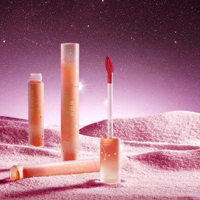 China Nude Seller Waterproof Matte Liquid Lipstick Lip Gloss Vegan Private Label Sunscreen Lipstick Organizer for sale