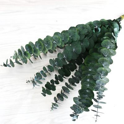 China Natural Modern Style Artificial Plants Wholesale Price Contact Eucalyptus Copper Leaves For Home Decoration for sale