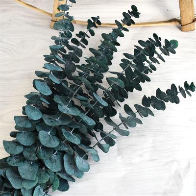 China Hot Selling Natural Touch Ins Style Artificial Flower Plants Preserved Durable Eucalyptus Leaves For Decoration for sale