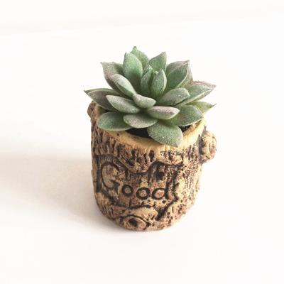 China Plastic Plant Potted Mini Assorted Artificial Succulent Home Decor Natural Faux Touch Bonsai Plants for sale