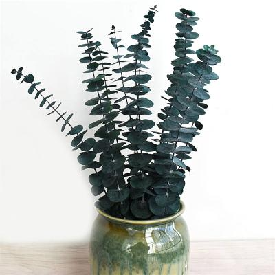 China Wholesale Preserved Round Foliage Flower Natural Touch Quality Best Hand Eucalyptus For Home Wedding Decoration for sale