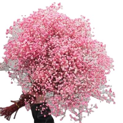 China Factory Home Supply Beautiful Preserved Decor Flowers Preserved Flowers Babybreath For Home Table Decoration for sale