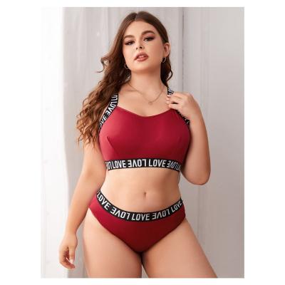 China Sexy underwear. Apparel Matching 2022 Fashion Products Sexy Lingeries, Hot Lingerie and Plus Size Womens Sexy Lingerie Underwear for sale