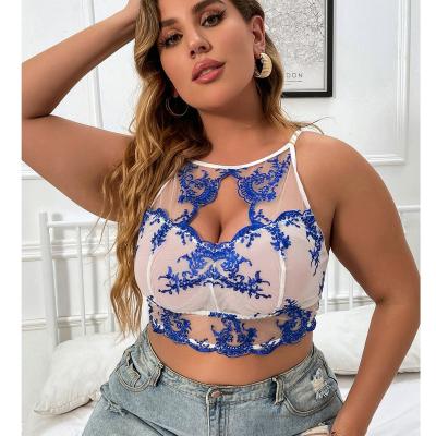 China Sexy underwear. Clothing Matching Factory 2022 Blue Lace Plus Size Underwear Women Sexy Bra Underwear Plus Size Fashion for sale