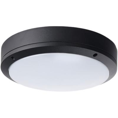 China High Quality Modern Nordic Style Ceiling Lights Nordic Light Led Lamp For Hallway Living Room Bathroom for sale