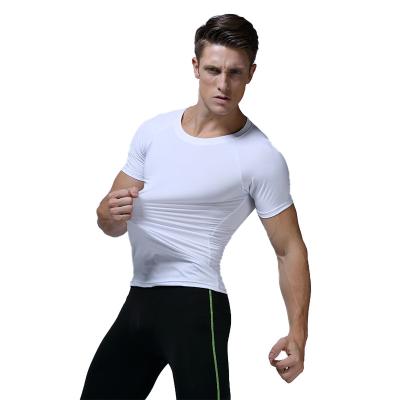 China Anti-Shrink Gym Clothing For Short Elastic Sports Basketball Short Elastic Sports Men's Sportswear Men's Sportswear Quick Dry Sleeve T-shirt for sale