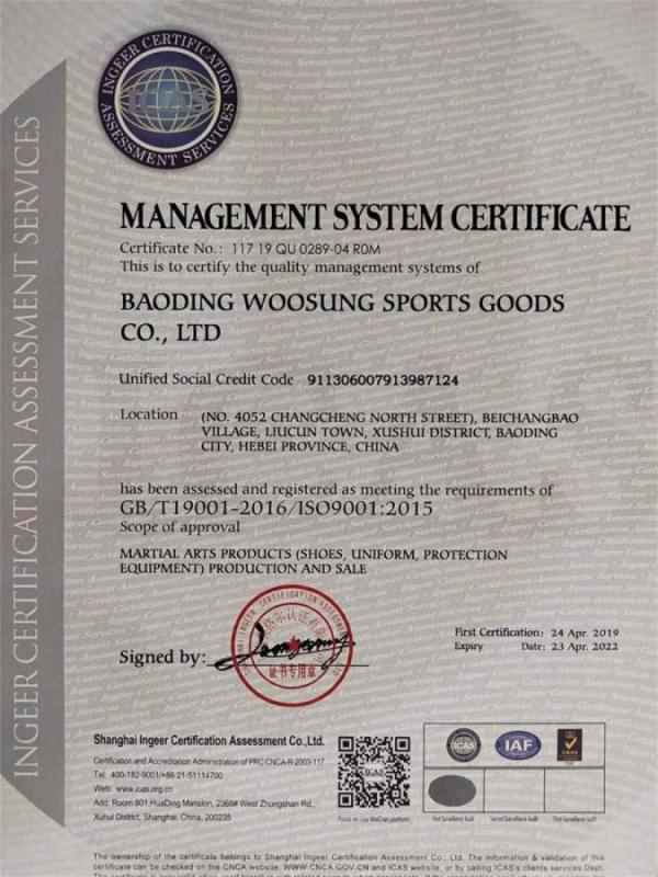 ISO9001 - Baoding Youxing Sports Goods Co., Ltd.