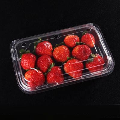 China Good quality factory direct clamshell biodegradable plastic food container for fruit for sale