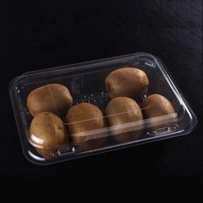 China Best Biodegradable Selling Disposable Clear Plastic Fruit Product Container Hot Chinese Food Grade Safe Material for sale