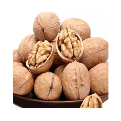 China Competitive Price Good Quality Chinese Organic Dried Halves Shelled Walnut Walnut for sale