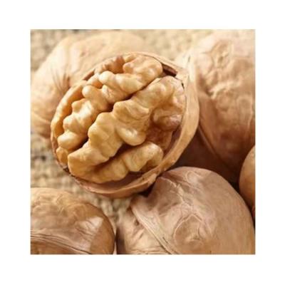 China High Quality Walnut Thin Raw Organic Skin Grade Kernel Dried Cheap Walnuts for sale