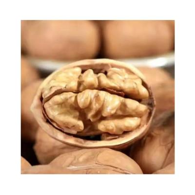 China Dry Deep Into Thin Mountains Skin Walnut Inshell Kernel Walnut for sale