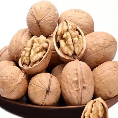 China Organic Thin Skin Dried Inshell Walnuts Hot Selling Cheap Walnuts for sale