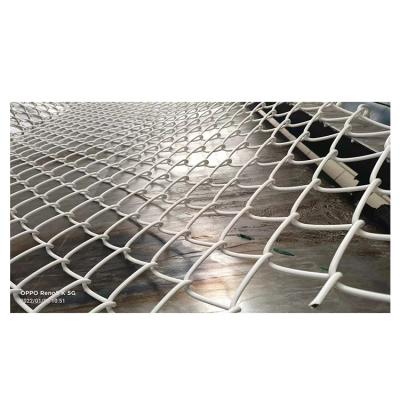 China Professional Price Easily Assembled Customizable Color Galvanize Chain Link Fence For Sale for sale