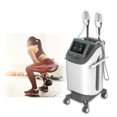 China Skin Tightening Fitness Center Muscle Stimulating EMS Fat Loss Machine Body Beauty Contouring Machine for sale