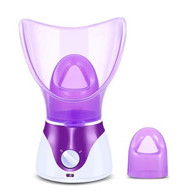 China Sauna SPA Face Humidifier Spray DEEP CLEANSING Home Sauna Deep Cleansing Spa Hot Mist Portable Facial Steamer for sale