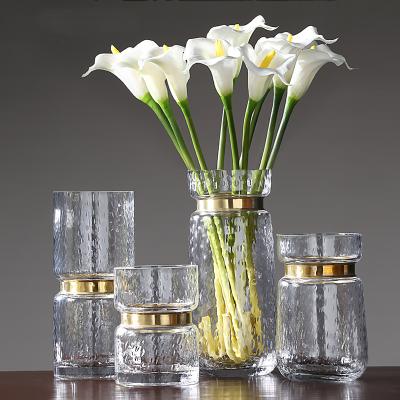 China Customized wholesale Nordic copper flower vase home decoration CLASSIC - rimmed clear glass vase for sale