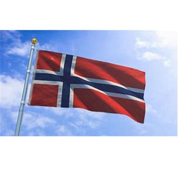 China OEM Ready to Ship 3x5Fts Norway Flag for sale