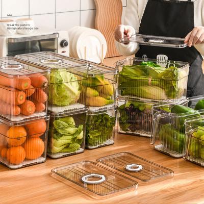 China Fresh Clear Plastic Pet Food Fruit Vegetable Storage Container Fresh Keep Kitchen Storage Box Fridge Organizer With Lid for sale