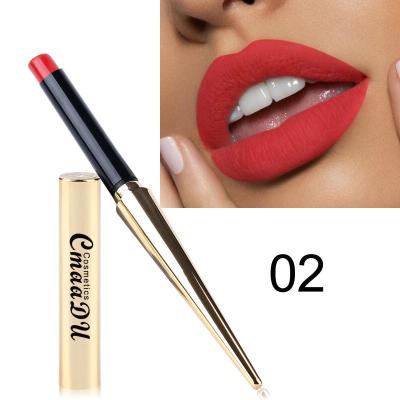 China 2021 Hot Selling 12 Colors Matte Lipstick Mate Nude Color Sexy Makeup Waterproof Long Lasting Lipstick for sale