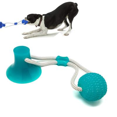 China Multi-Function Dog Molar Bite Self-Playing Chew Ball Toy Interactive Ropes Toys Self-Playing Rubber Ball Toy With Suction Cup for sale