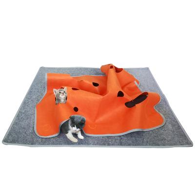 China Cat Activity Play Mat viable - thermal base - fun interactive play - training - scratching - bed mat for sale