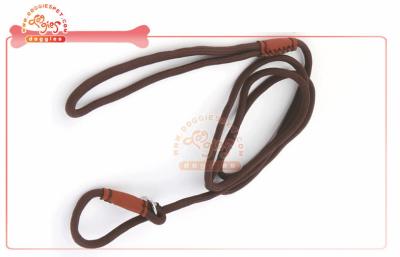 China Training Nylon Rope Adjustable p Loop Slip Dog Leash And Collar Dia 15mm l 1.2m for sale