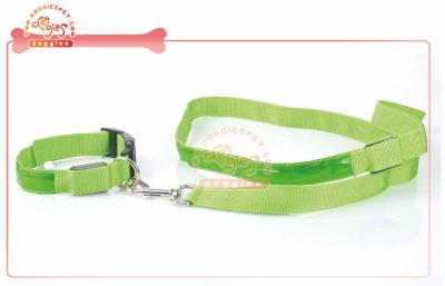 China Night Illuminate Glowing LED Dog Leash With Resistant Reflective Bright Fabric for sale