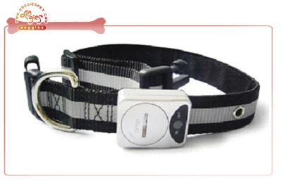 China Night safty LED Pet Collar for dog with eyelet and reflective strip for sale