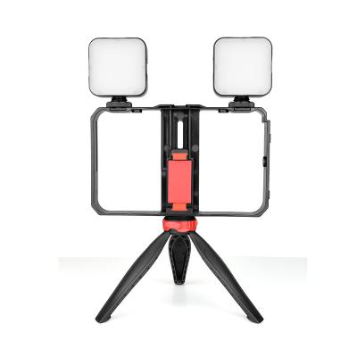 China YELANGU Vlogging Live Broadcast LED Selfie Light Smartphone Video Rig Kit with Tripod PC203 for sale