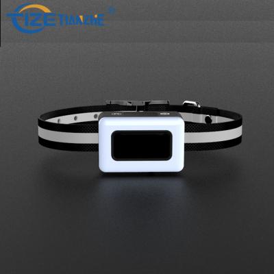 China Bark 2021 New Design Viable LED Rechargeable Flashing Dog Collar Anti No Shock Digital Display Dog Collar for sale